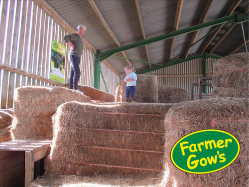REVIEW: Day Out At Farmer Gows