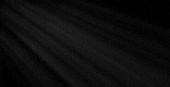 Steilea (Animated Ad)