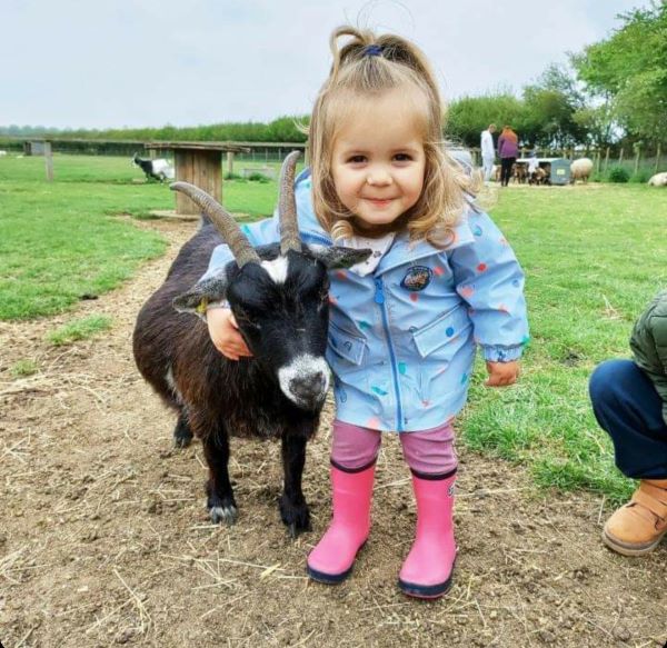 WIN A FAMILY DAY TICKET FOR 4 PEOPLE TO ROVES FARM