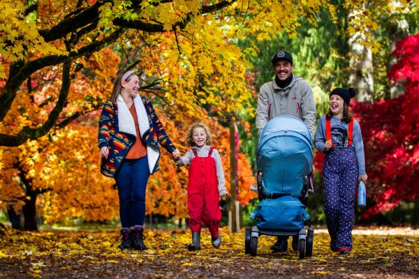 Autumn family trail at Westonbirt Arboretum