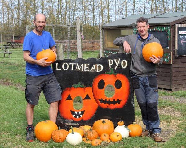 Pumpkin picking returns to Lotmead Pick Your Own 