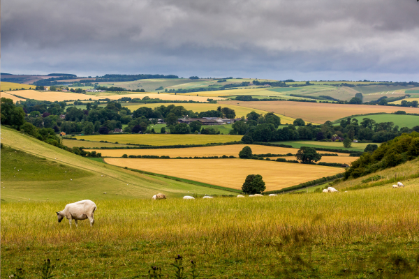 Five Quaint Wiltshire Towns Perfect For A Spring Sunday With The Family
