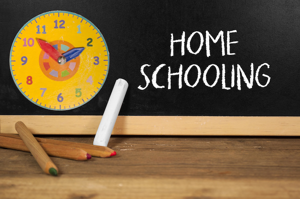The best homeschooling websites for parents