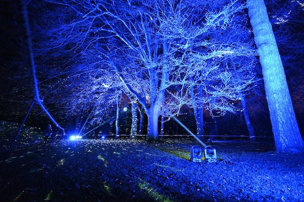 Enchanted Gardens Light Trail launches in Swindon