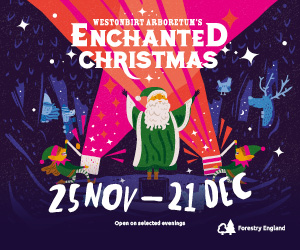 Enchanted Christmas - Westonbirt Arboretum
