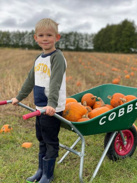Pumpkin Picking at Cobbs Farm