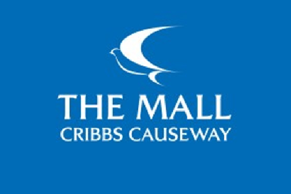 Cribbs Causeway with barnes coaches