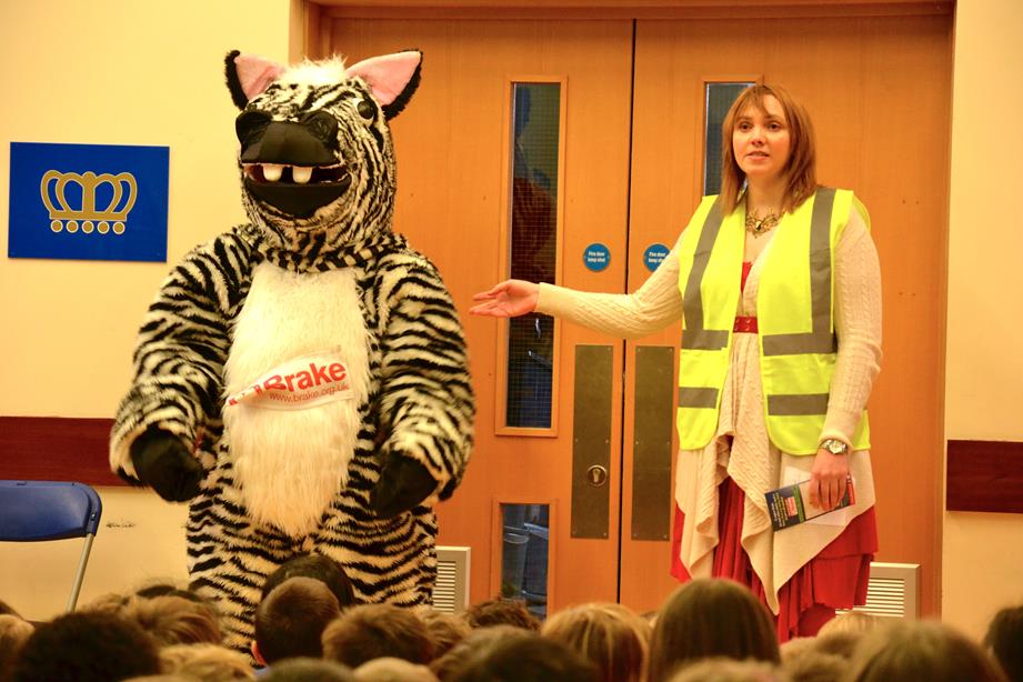 It's Jungle Out There - Zak the Zebra Takes Road Safety Assembly