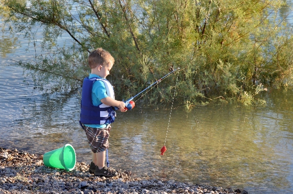 Fishing Spots in Swindon