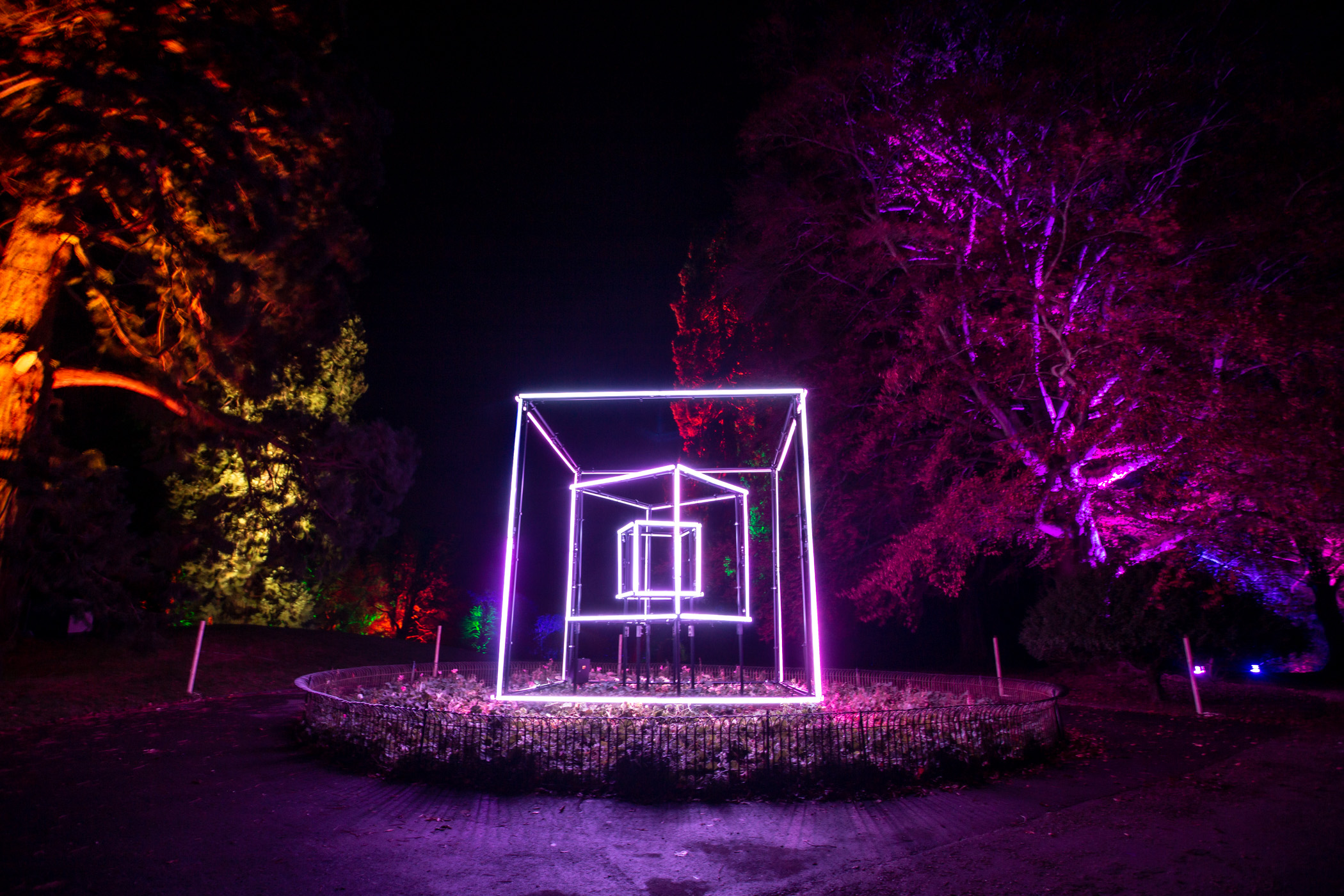 Spectacle of light set to illuminate Town Gardens this Christmas