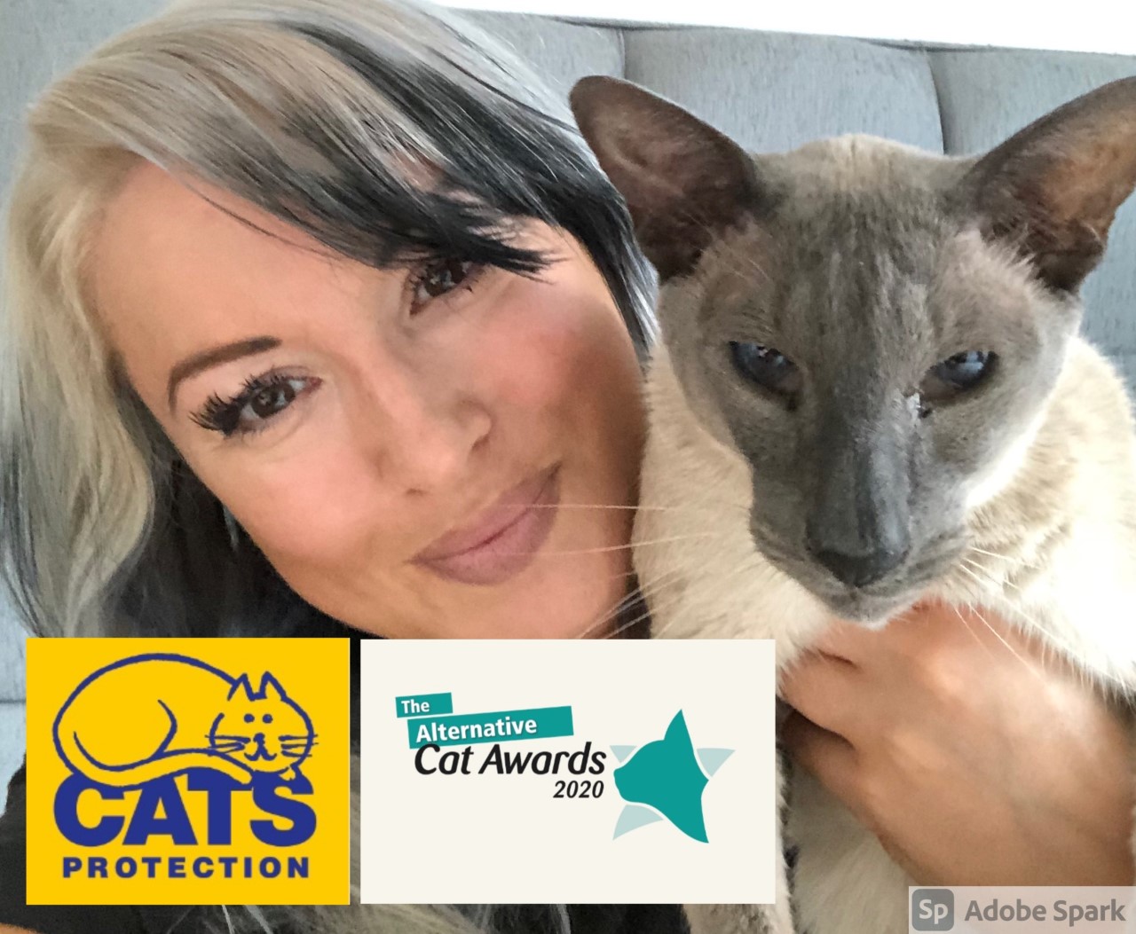 Beauty expert Gina Akers to judge new national cat video competition