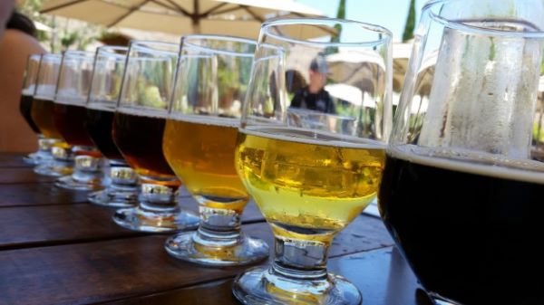 Craft Brew 101: How to Test, Taste, and Rate Beer