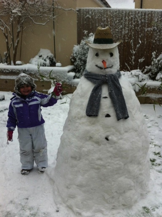 A perfect example of a snowman @djstallard