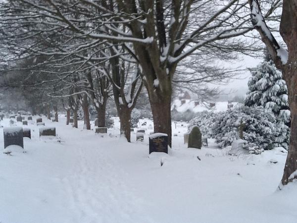 Snowy graveyard by @TreeTopServices