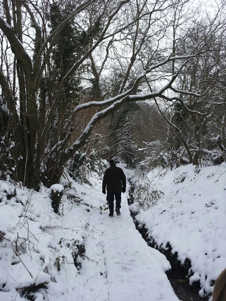 A snowy Wanborough stroll - Sarah Jane Jackson