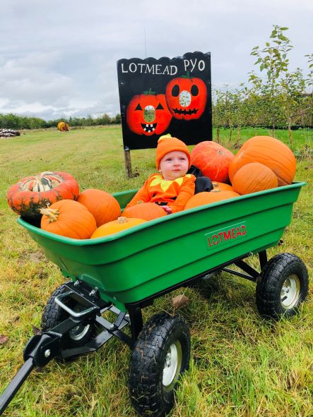 Lotmead Pick Your Own announces return of pumpkin picking