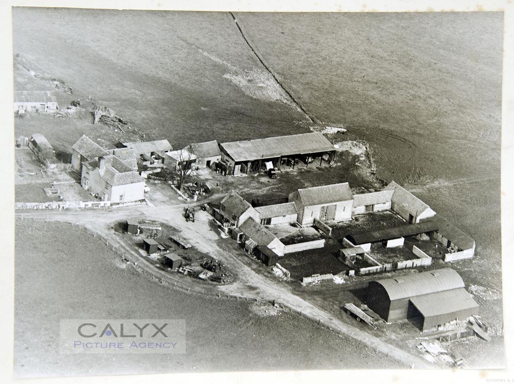 Snapped Ridgeway Farm Dig