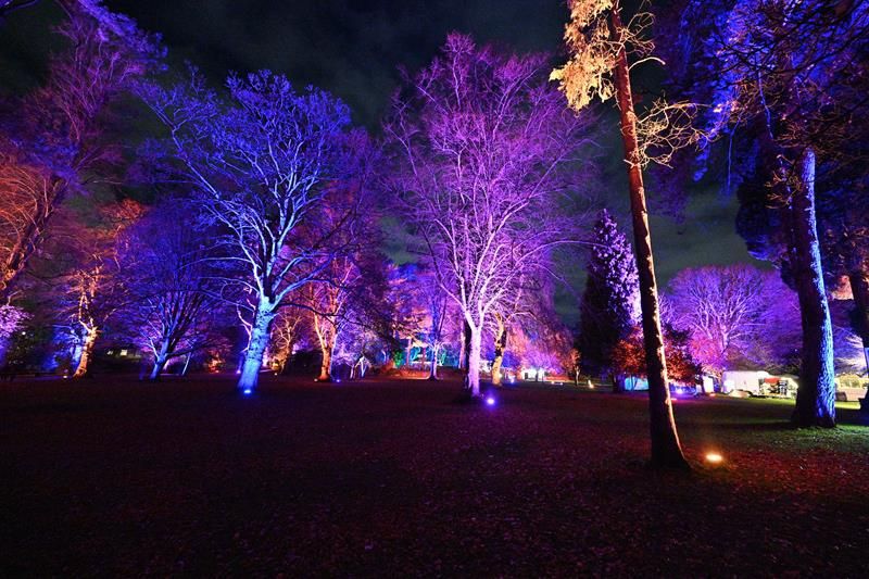 SNAPPED: Enchanted Garden Light Trail