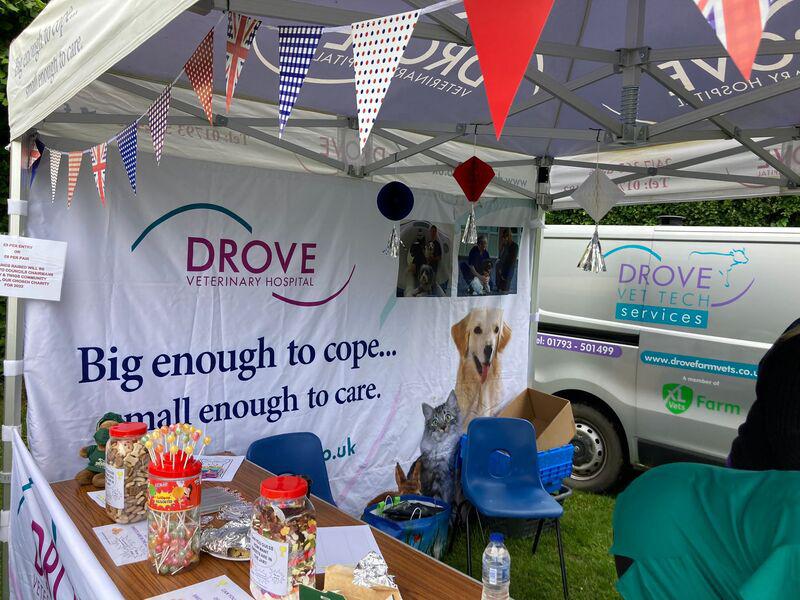 SNAPPED: DROVE VETS DOG SHOW  AT STRATTON FESTIVAL JUBILEE CELEBRATIONS