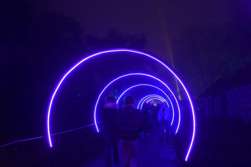 SNAPPED: The Enchanted Garden Light Trail 2022