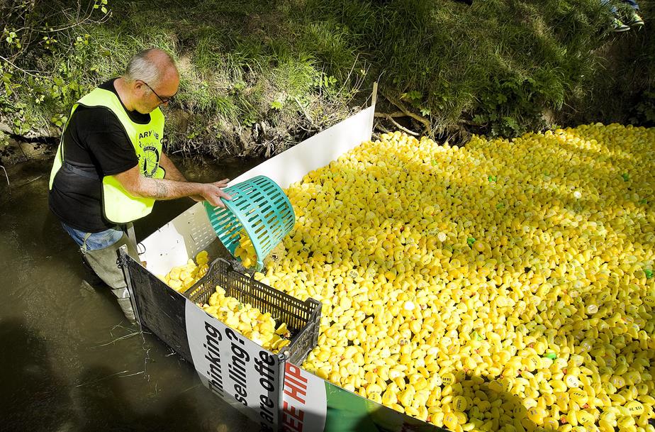 Snapped: Swindon's Famous Duck Race