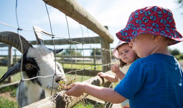 Lotmead Farm Swindon