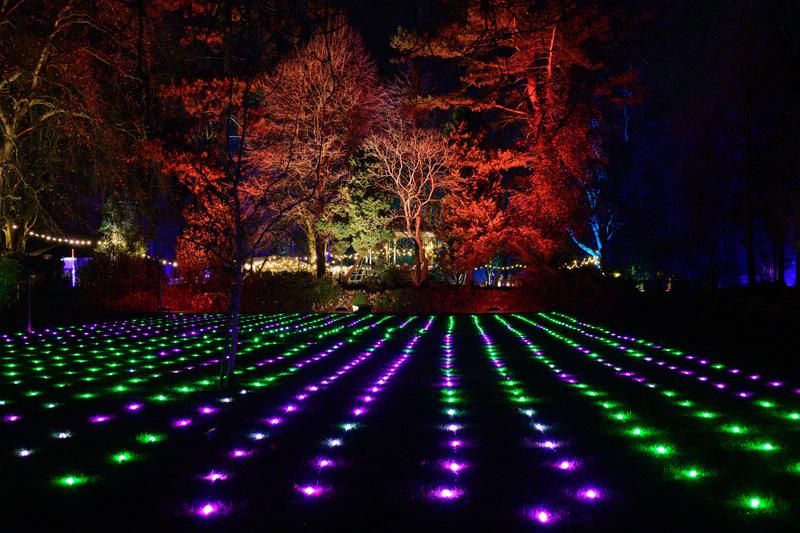 GALLERY: The Enchanted Garden Light Trail 2023