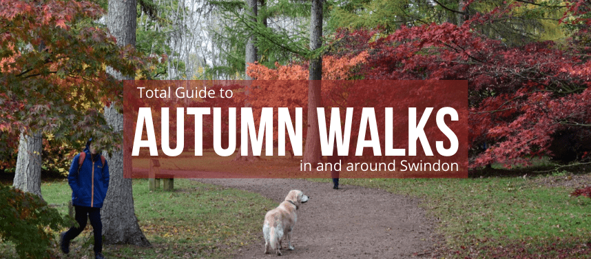 The Best Autumn Walks In And Around Swindon
