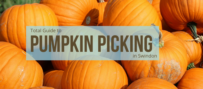 The Best Pumpkin Picking Places In And Around Swindon